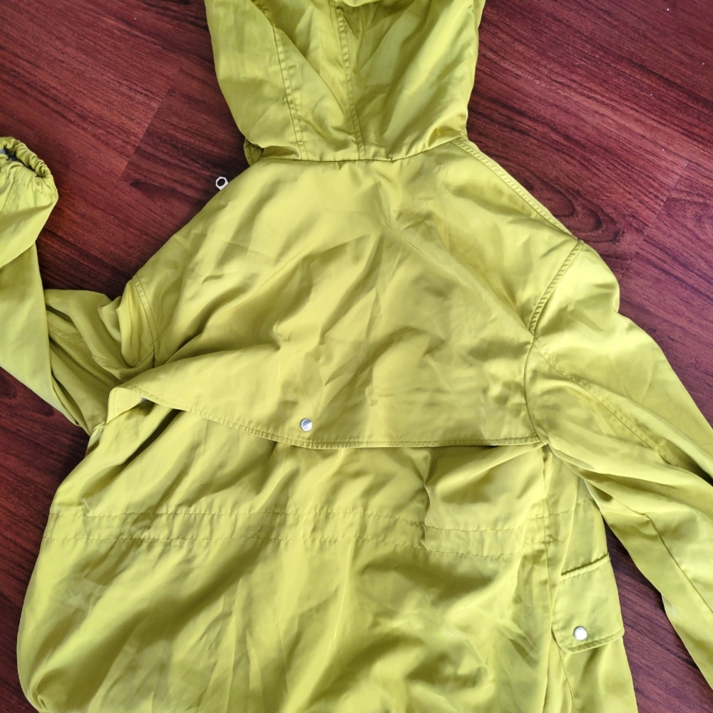 Yellow jacket - Picture 3 of 3